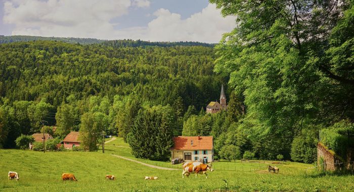 Villa Louisental - Gîte de groupe haut de gamme au Hohwald en Alsace - Séjour familial, week-end entre amis, stages et séminaires