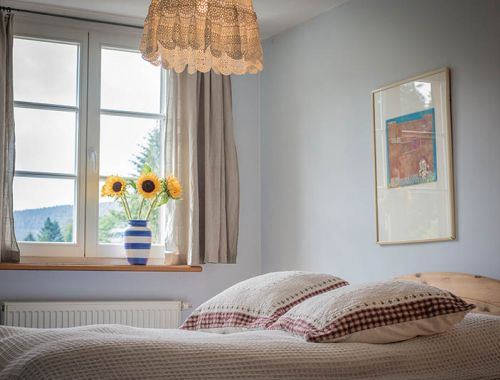 Villa Louisental - erstklassige Gruppenunterkunft in Le Hohwald im Elsass - Familientreffen, Wochenende unter Freunden, Kurse und Seminare