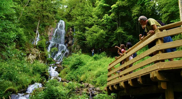 Villa Louisental - Gîte de groupe haut de gamme au Hohwald en Alsace - Séjour familial, week-end entre amis, stages et séminaires